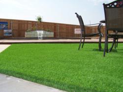 artificial turf in backyard